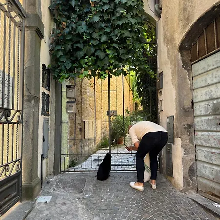 Casa Dell'edera T Orvieto