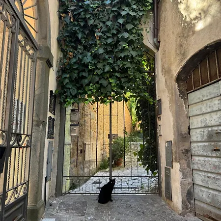 Casa Dell'edera T