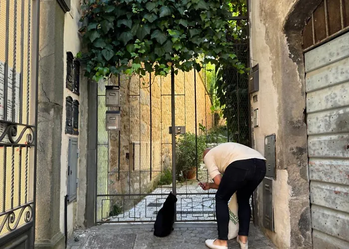 Casa Dell'edera T 오르비에토